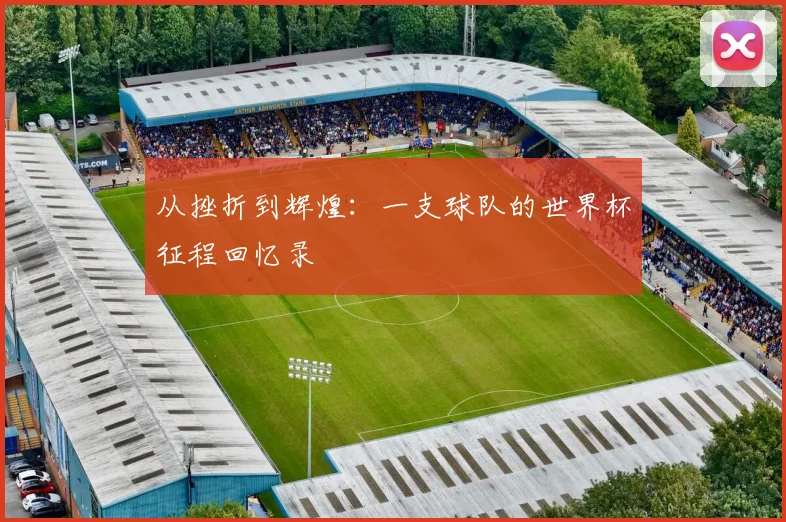 从挫折到辉煌：一支球队的世界杯征程回忆录