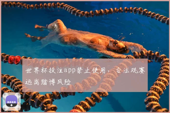 世界杯投注app禁止使用,合法观赛远离赌博风险