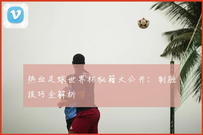 热血足球世界杯秘籍大公开：制胜技巧全解析